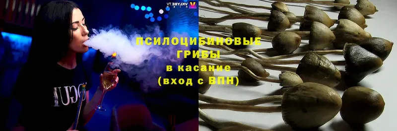 Галлюциногенные грибы Magic Shrooms  Урай 